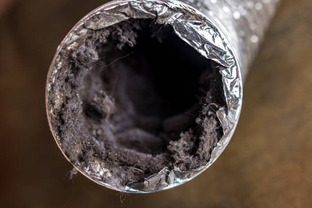 Best Air Duct Cleaning Near Me  in Frackville, PA